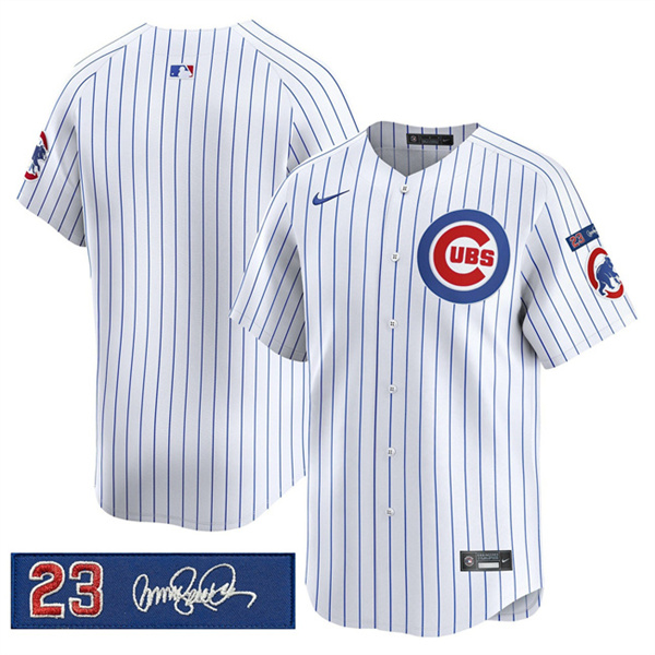 Men's Chicago Cubs Blank White Pinstripe 'Ryne Sandberg Tribute' Vapor Limited V3 Stitched Baseball Jersey